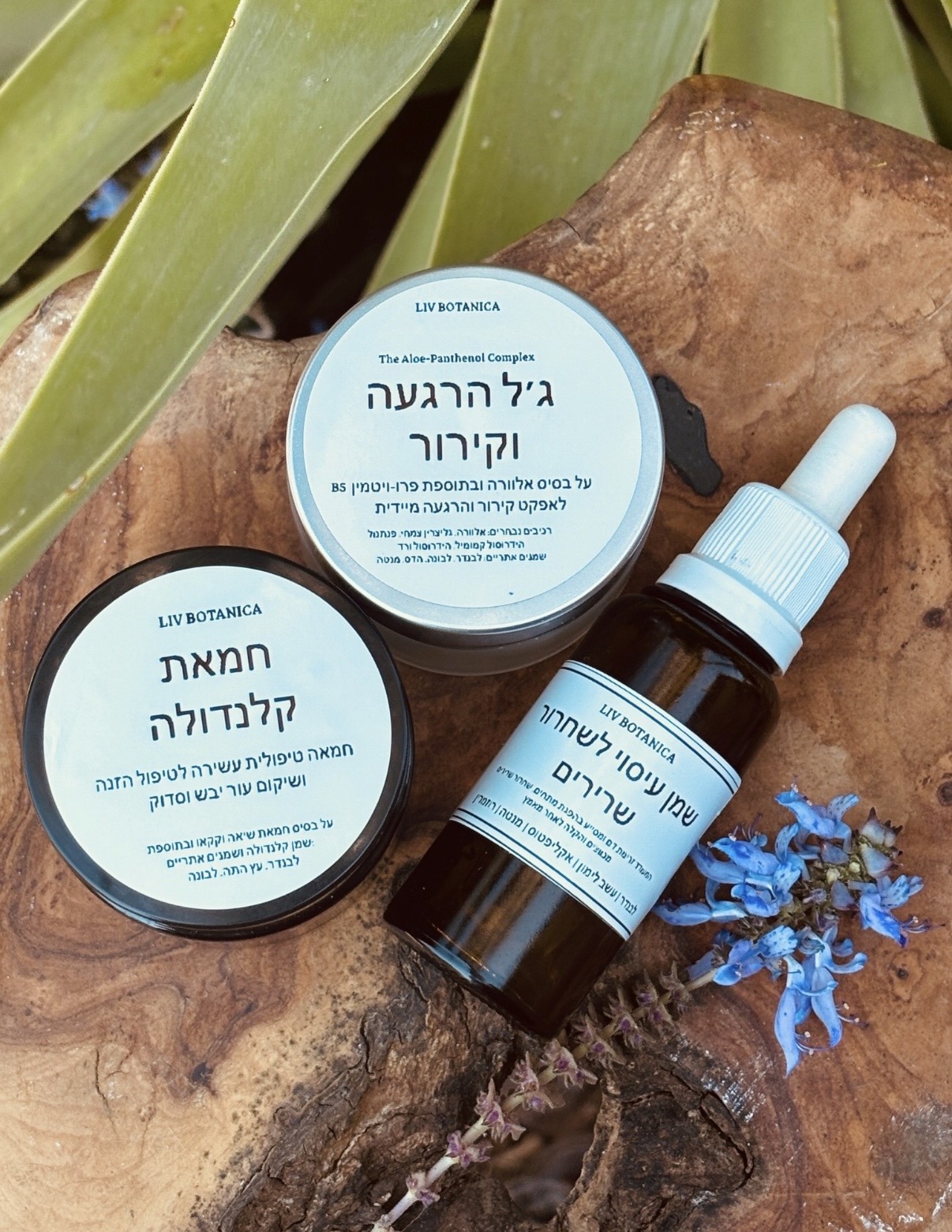 ג׳ל הרגעה וקירור, חמאת קלנדולה ושמן עיסוי – מוצרי הרוקחות הטבעית של סטודיו ליב